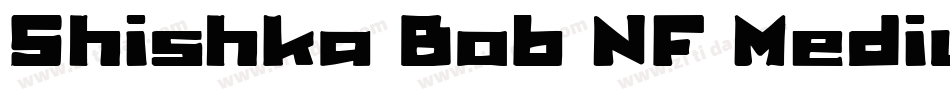 Shishka Bob NF Medium字体转换